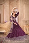 Aanaya Vol 166 By Dani Creation Tatefa Butti Salwar Kameez Collection